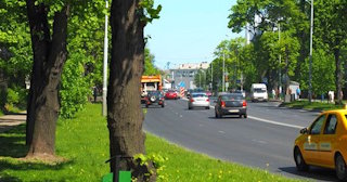 Посадка деревьев и кустарников в Клинцах — стоимость от 1248 руб.